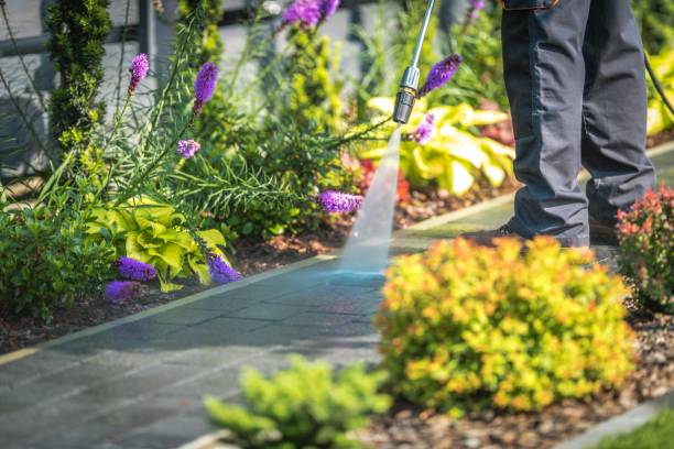 Best Parking Lot Cleaning in Kingston, NY